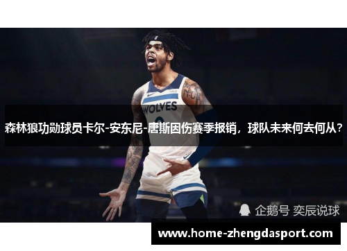 森林狼功勋球员卡尔-安东尼-唐斯因伤赛季报销，球队未来何去何从？